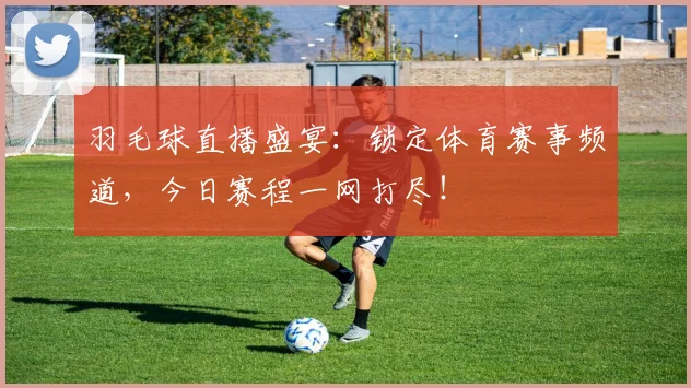 羽毛球直播盛宴：锁定体育赛事频道，今日赛程一网打尽！