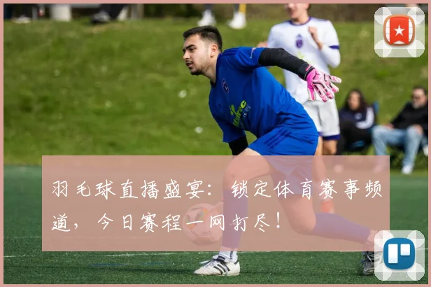 羽毛球直播盛宴：锁定体育赛事频道，今日赛程一网打尽！
