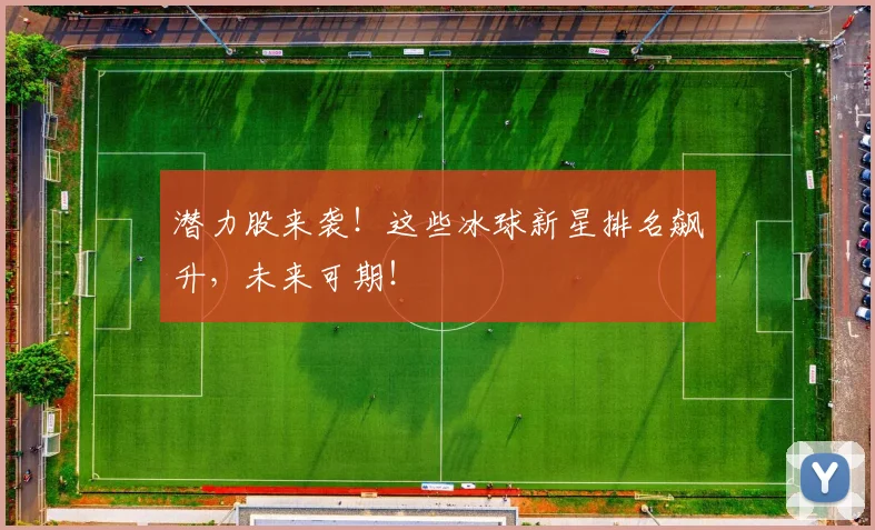 潜力股来袭!这些冰球新星排名飙升,未来可期!
