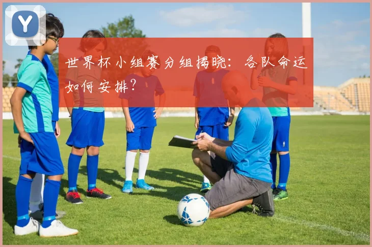 世界杯小组赛分组揭晓:各队命运如何安排?