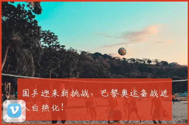 国乒迎来新挑战,巴黎奥运备战进入白热化!